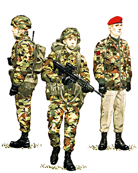 Osprey Elite series 14 - The British Army in the 1980s
