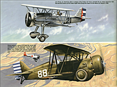 Squadron Signal - Aircraft In Action 1156 Curtiss Navy Hawks