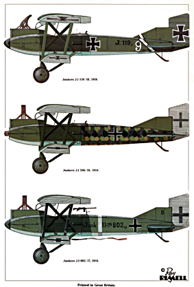 Windsock- Datafile 39 -  Junkers J.I