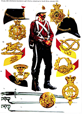 Osprey Warrior 83 - British Infantryman in South Africa 1877-81
