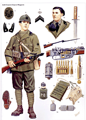 Osprey Warrior 87 - Italian Arditi Elite Assault Troops 1917-20