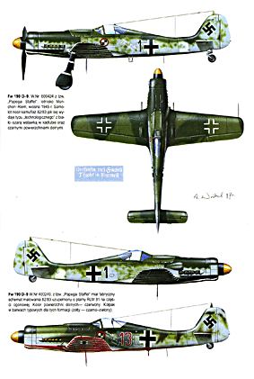 AJ-Press. Malowanie i oznakowanie  4 - Luftwaffe 1935-45 cz.4