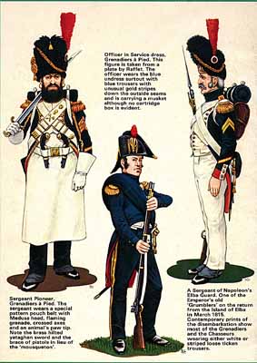 French Imperial Guard Waterloo Uniforms (Almark publications)