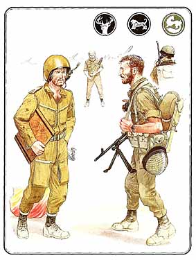 Французская Армия 1939-1942 Бесплатно