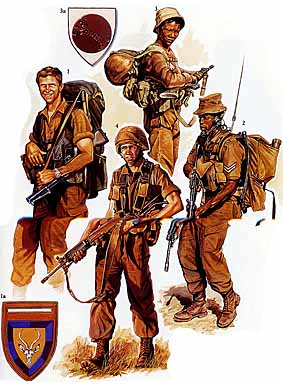 Osprey Men-at-Arms 242 - Modern African Wars (3)