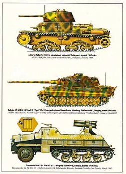 Wydawnictwo Militaria 271 - Panzerwaffe 1945 Part I/II (Tank power vol.XLV)