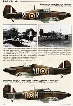 Polish Wings  4 - Hawker Hurricane