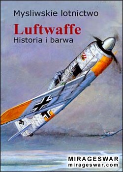 Mysliwskie lotnictwo Luftwaffe: Historia i barwa