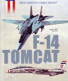 Grumman F-14 Tomcat in combat - Histoire & Collections