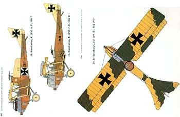 Austro-Hungarian Army Aircraft of World War One
