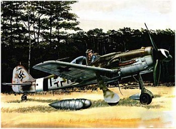 Squadron-Signal 5510 - Focke-Wulf Fw 190D