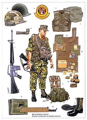 The Marine Corps in Vietnam (Osprey Publishing)