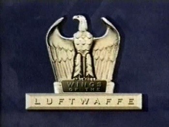   -410 / The Wings Of The Luftwaffe: Me-410 