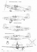 ACE Publication P-51 Mustangi USAAF 