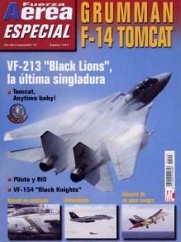 Fuerza Aerea Especial  13 - Grumman F-14 Tomcat