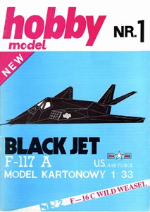 F-117A Black Jet [Hobby Model 001]