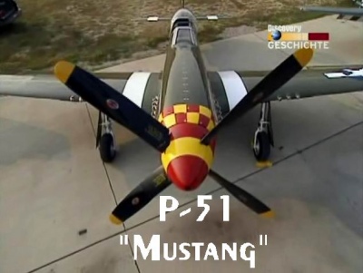 Flugel aus Stahl P-51  / P-51 - Mustang