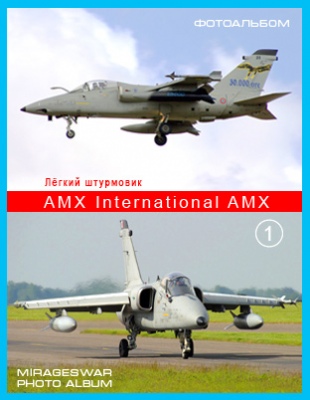   - AMX International AMX (1 )