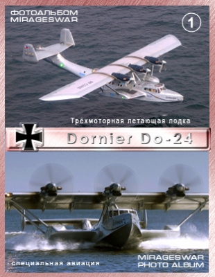    - Dornier Do-24 (1 )