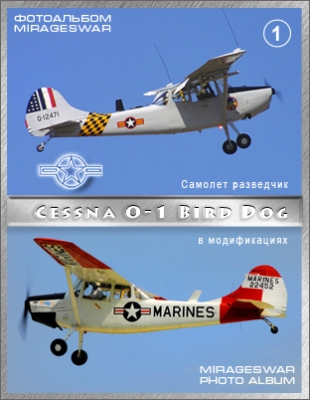 C  - Cessna O-1 Bird Dog  