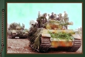 Photos from the Archives. Panzerkampfwagen VI Ausf E Tiger I, Ausf B Tiger II