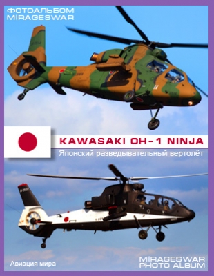   ̣ - Kawasaki OH-1 Ninja