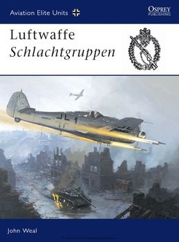 Luftwaffe Schlachtgruppen (Osprey Aviation Elite Units 13)