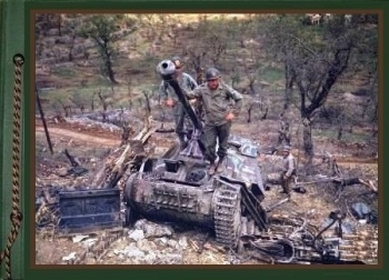 Photos from the Archives. Battle Damaged and Destroyed AFV. Part 35