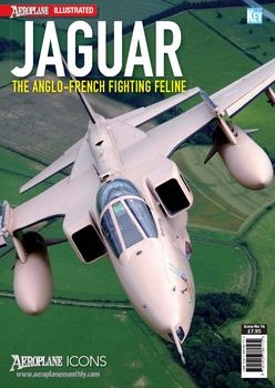Jaguar: The Anglo-French Fighting Feline