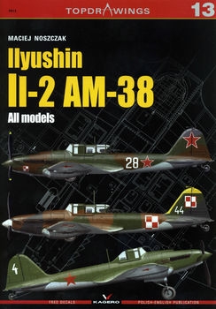 Ilyushin Il-2 AM-38: All models (Kagero Topdrawings 13)