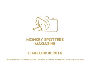 Monkeys Spotters Magazine Best of 2016