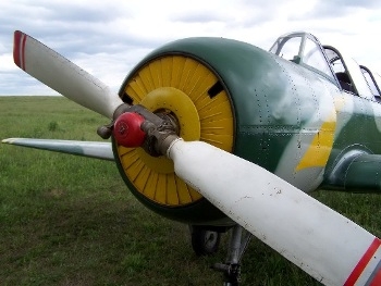 Yak-52 Walk Around
