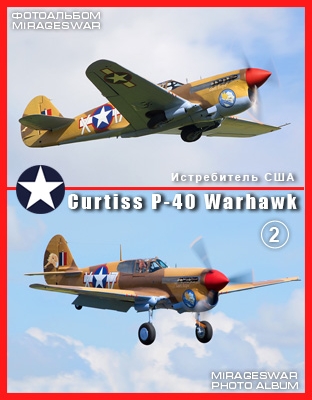  - Curtiss P-40 Warhawk (2 )