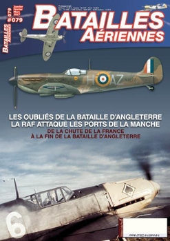 Batailles Aeriennes 2017-01/03 (79)