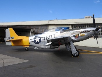 P-51D 'Spam Can Dolly' Walk Around