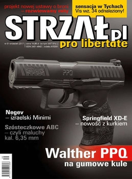 Strzal 2017-09 (10)