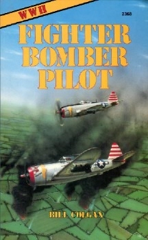 World War II Fighter Bomber Pilot