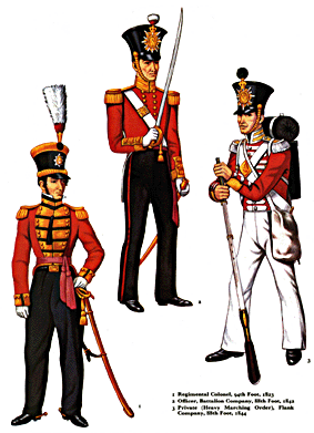 OSPREY Men-at-Arms Series 12 MAA - The Connaught Rangers