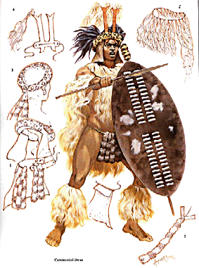 Osprey Warrior 14 - Zulu 1816-1906