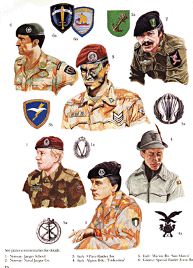 Osprey Elite series 22 - World Special Forces Insignia
