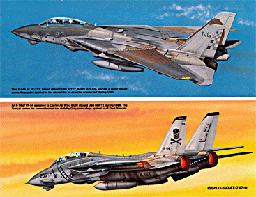 Squadron Signal - Aircraft In Action 1105 Grumman F14 Tomcat