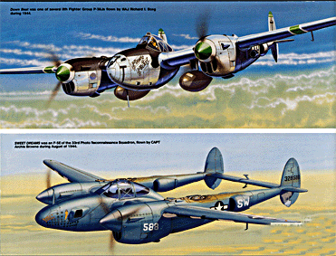 Squadron Signal - Aircraft In Action 1109 P-38 Lightning