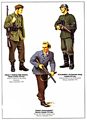 Wydawnictwo Militaria 195 - SS-Heimwehr Danzing