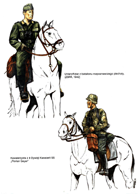 Niemiecka kawaleria 1939-1945 ( BARWY WALKI 1)