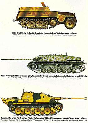 Wydawnictwo Militaria 206 - Panzerwaffe 1945 volume.2
