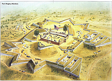 Osprey Fortress 38 - American Civil War Fortifications (2) Land and Field Fortifications