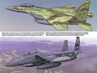 Squadron Signal Aircraft In Action 1183 F-15 Eagle