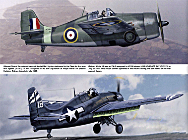 Squadron Signal - Aircraft In Action 1191 F4F wildcat in action 
