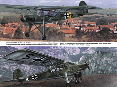 Squadron Signal - Aircraft In Action 1198 Fieseler Storch