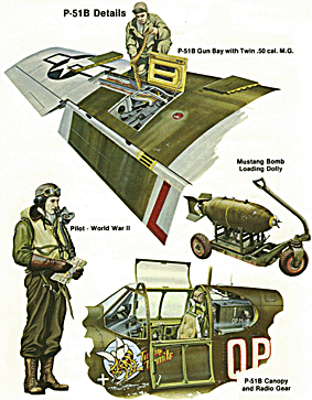 Squadron/signal publication 6505 - P-51 Mustang